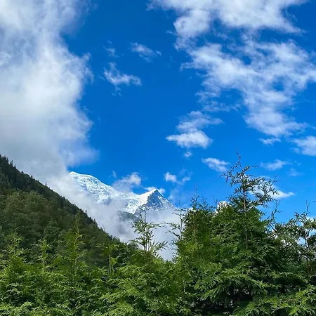 Bellamy Apartmanhotel 4*