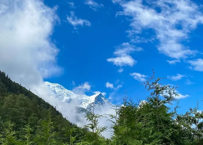 Bellamy Aparthotel 4*