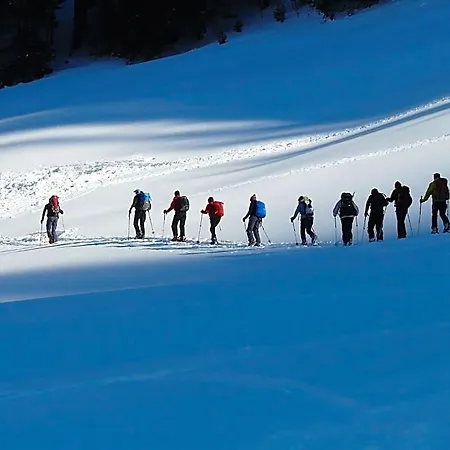 Bellamy Chamonix